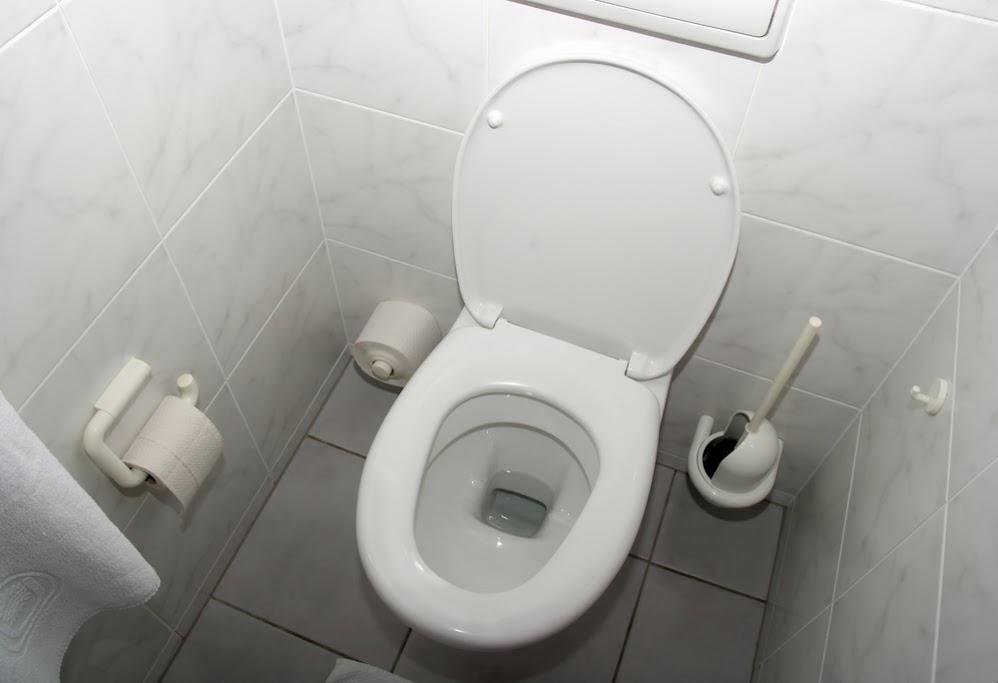 White Toilet Seat — Clearwater, FL — Scotto's Plumbing White Toilet Seat — Clearwater, FL — Scotto's Plumbing