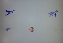 disegni