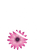 Layton45 logo