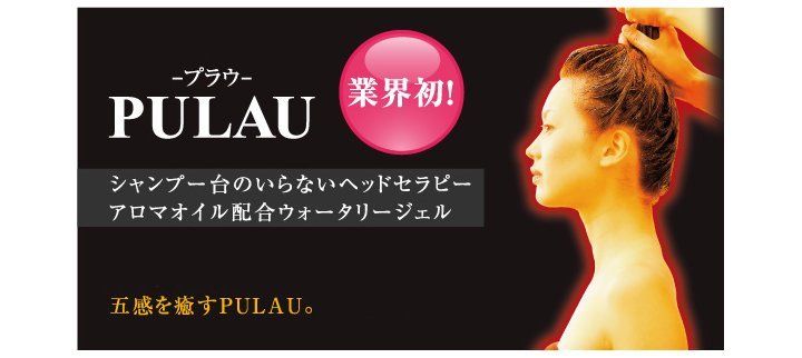 プラウ、シャンプー台のいらないヘッドセラピー
