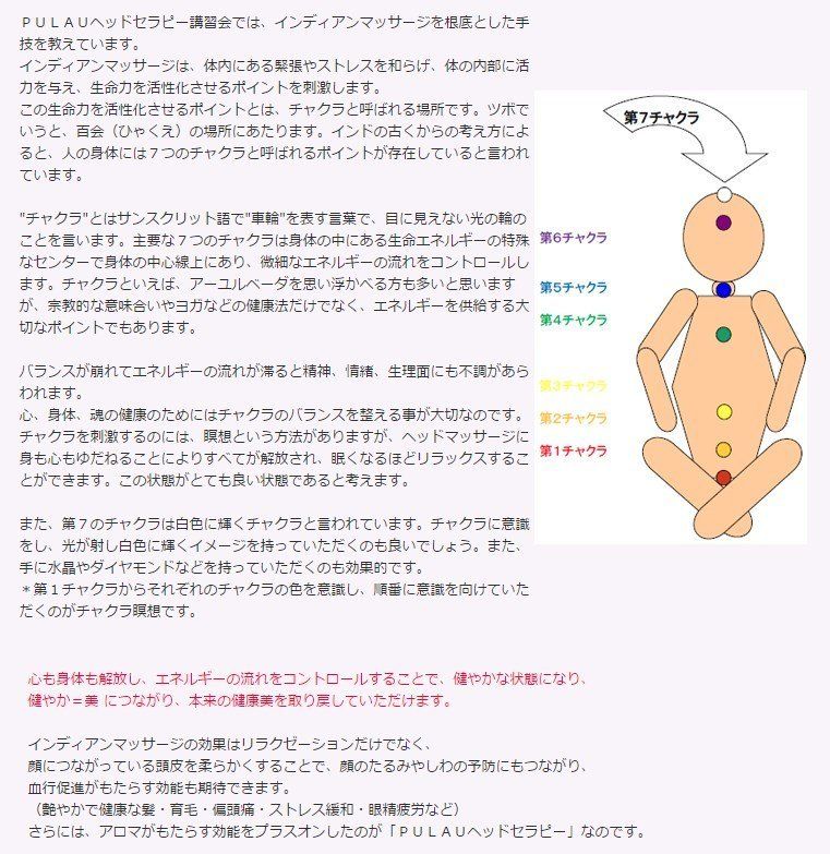 プラウヘッドセラピーとは