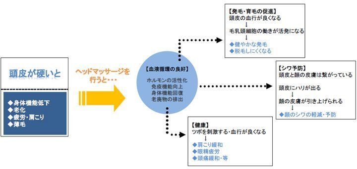 頭皮が硬い人がヘッドマッサージを行ったあとの効果の図