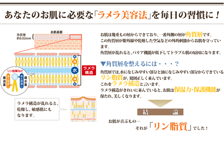 あなたのお肌に必要なラメラ美容法を毎日の習慣に