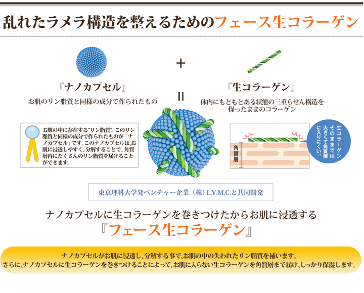 乱れたラメラ構造を整えるためのフェース・ナマ・コラーゲン