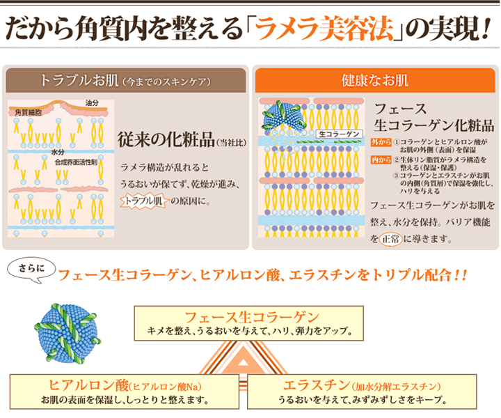角質内を整える・ラメラ美容法の実現