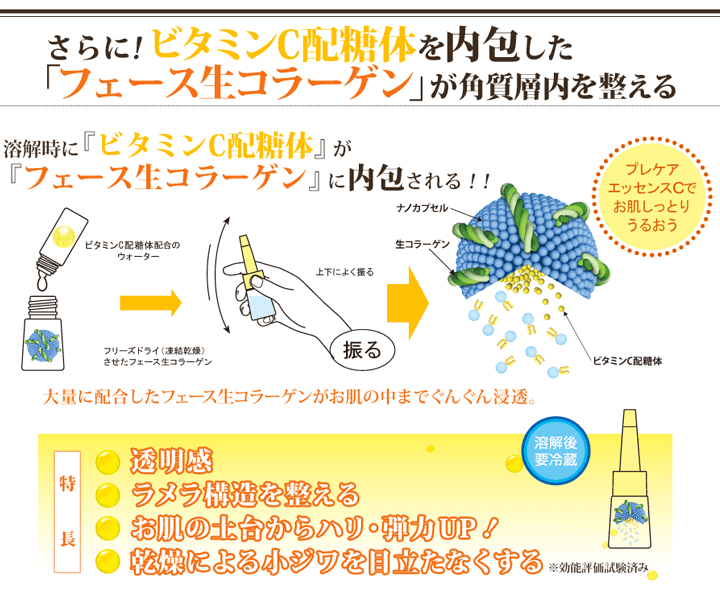 フェース・ナマ・コラーゲンが角質層内を整える