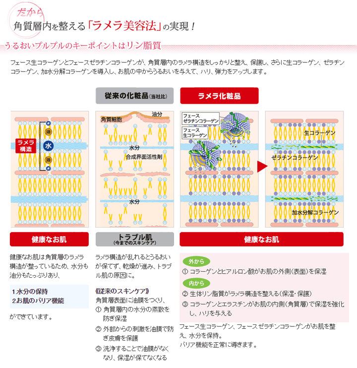 ラメラ美容法の実現