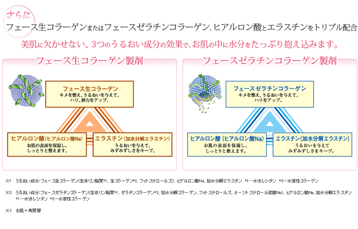 コラーゲンとヒアルロン酸とエラスチンをトリプル配合