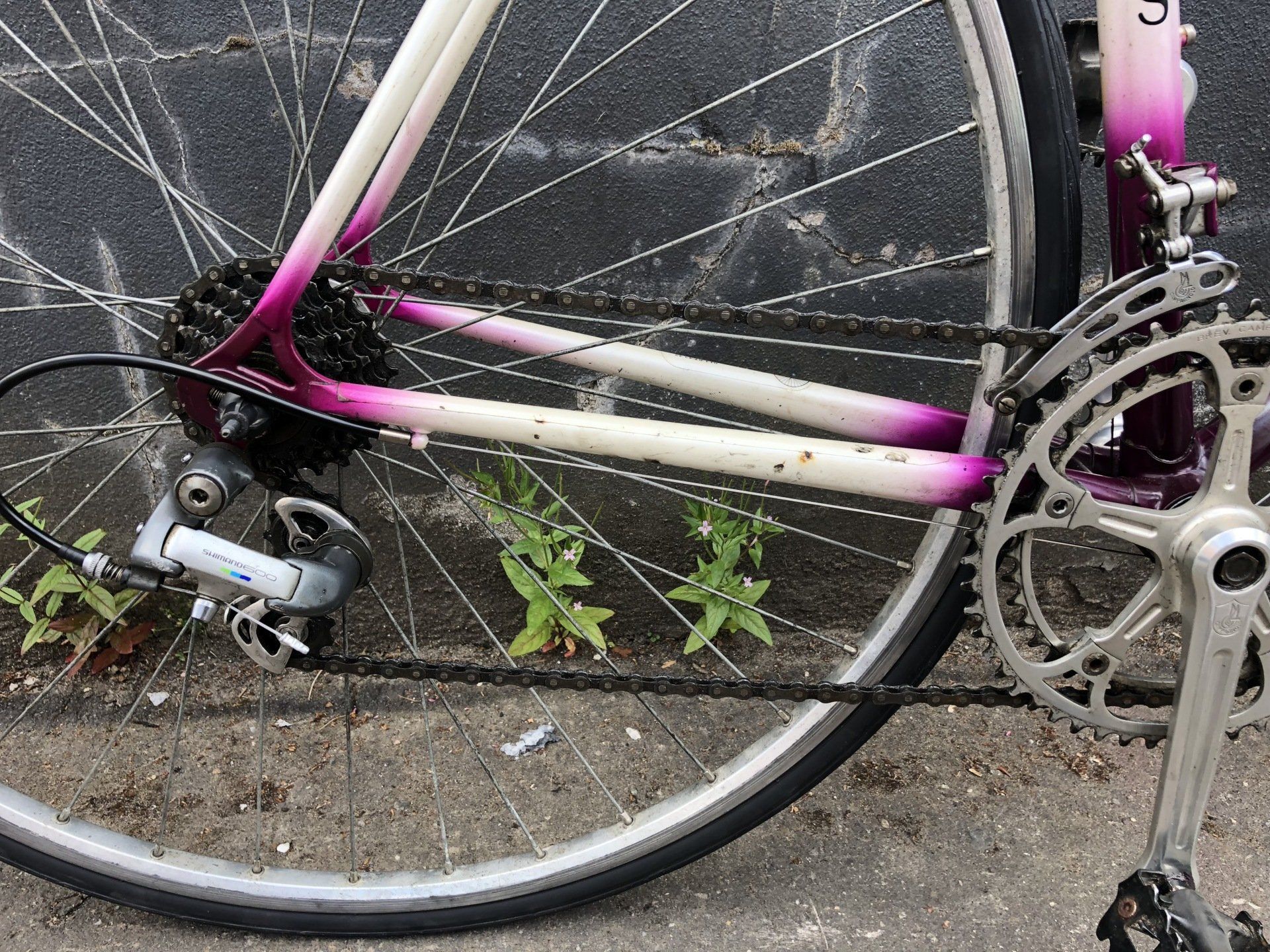 Wellens Vintage Bicycle for sale Glasgow