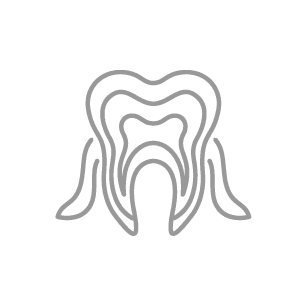 layers of tooth