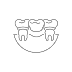 bridge icon