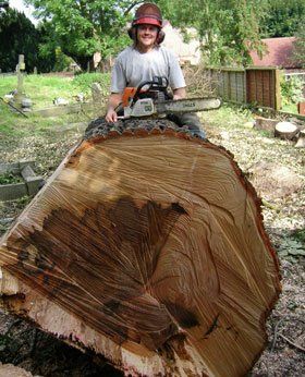 Tree surgery - Barnsley, South Yorkshire - Undercut Services Ltd - Tree Surgeon