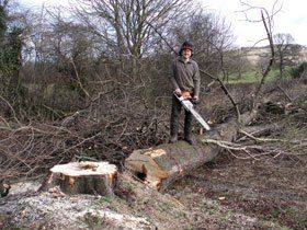 Tree reduction - Barnsley, South Yorkshire - Undercut Services Ltd - Tree Surgery Tree reduction - Barnsley, South Yorkshire - Undercut Services Ltd - Tree Surgery