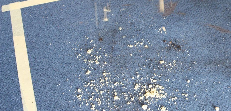 Blauer Teppich mit weißen Markierungen, verstreuten cremefarbenen Fragmenten und einigen schwarzen Flecken.