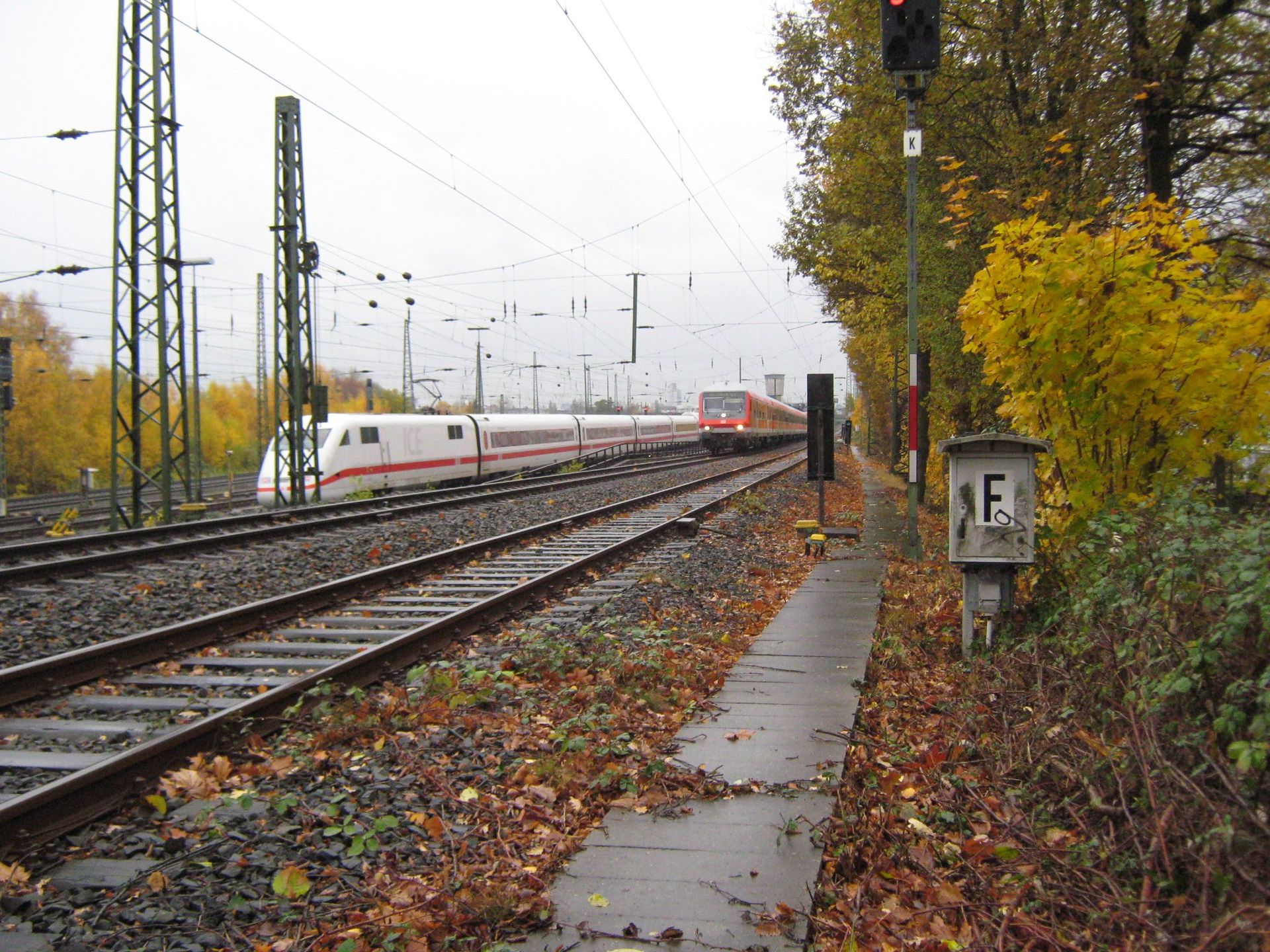 Zug auf Gleisen, Signal und Laubwerk im Vordergrund.