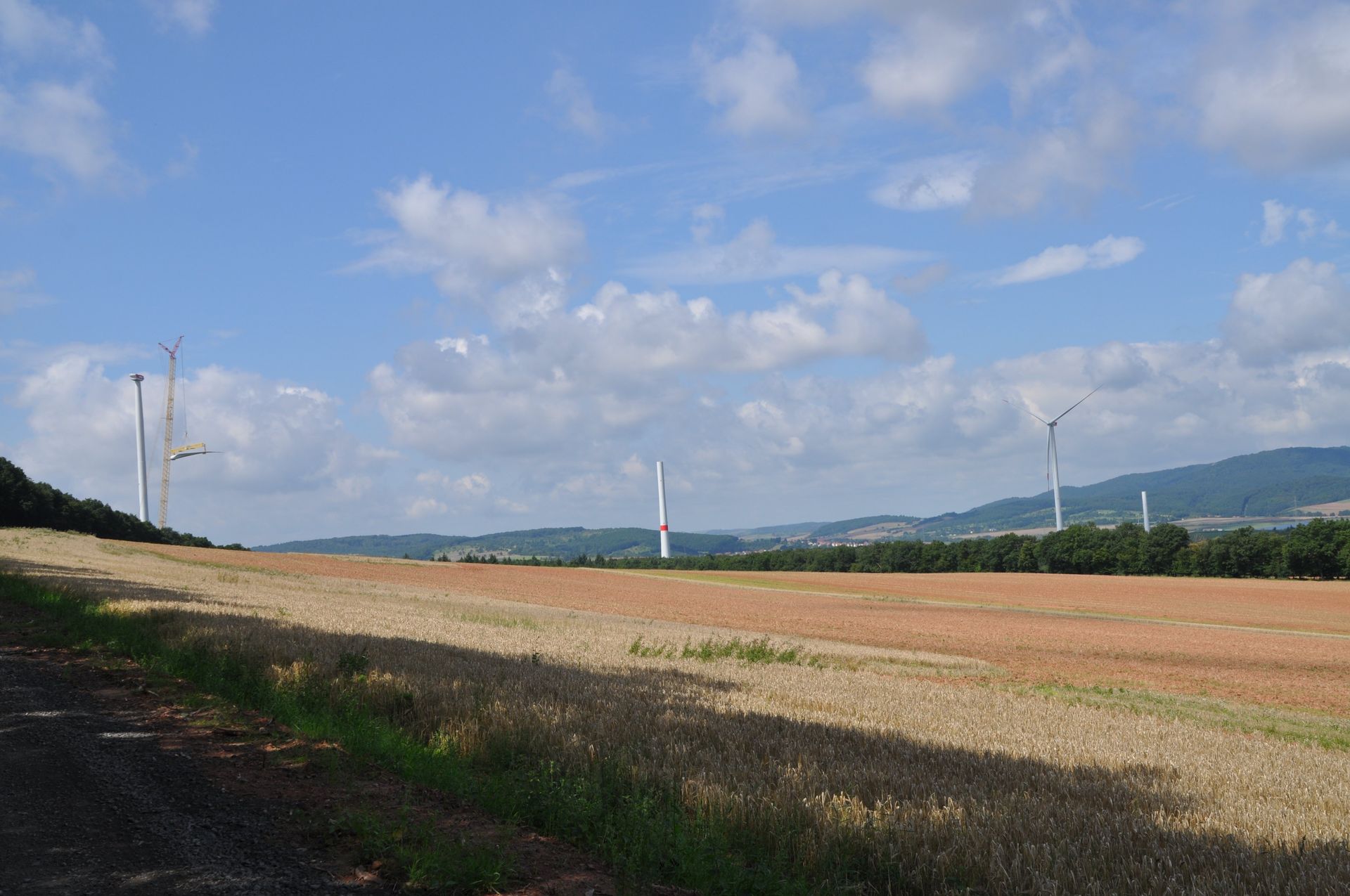 Ein Feld mit goldenem Weizen und in der Ferne Windrädern unter einem teilweise bewölkten Himmel.
