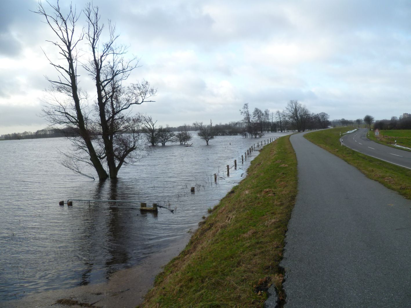 Überschwemmtes Gebiet mit einer Straße. Kahle Bäume im Wasser. Bewölkter Tag.