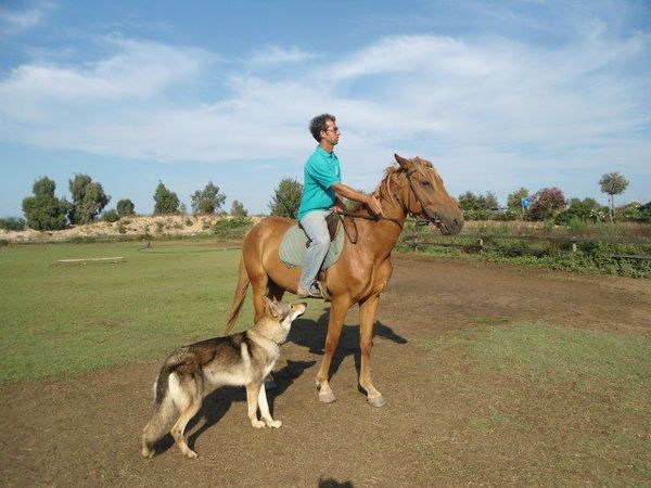 LEZIONI A CAVALLO