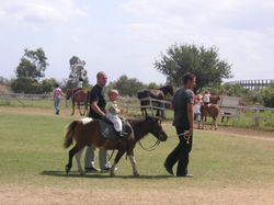 passeggiate a cavallo