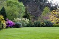 Patio, Landscape, Maintenance in Feasterville Trevose, PA Patio, Landscape, Maintenance in Feasterville Trevose, PA