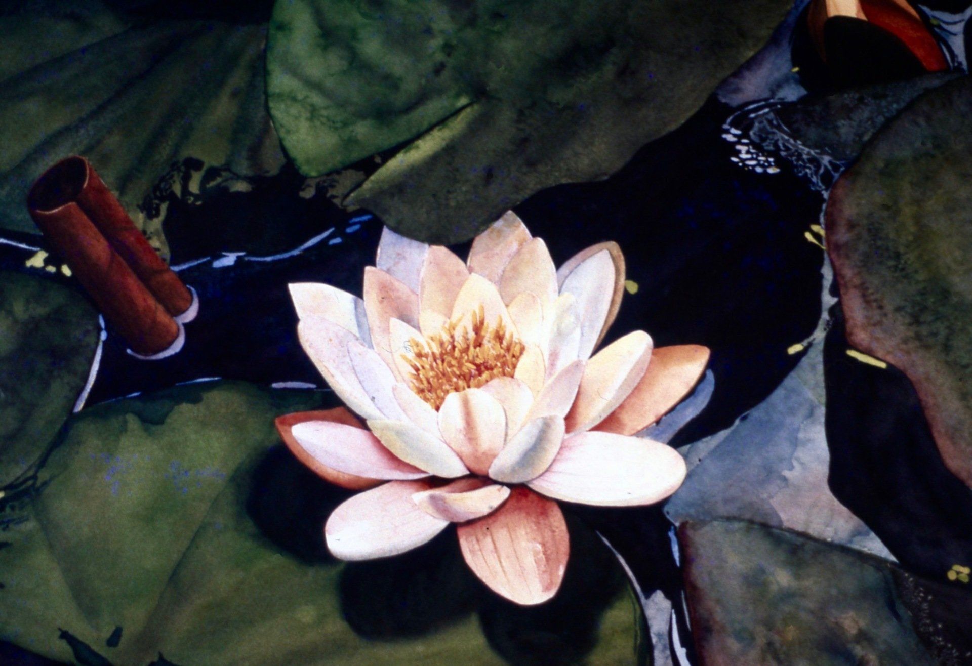 A pink flower is surrounded by green leaves in a pond