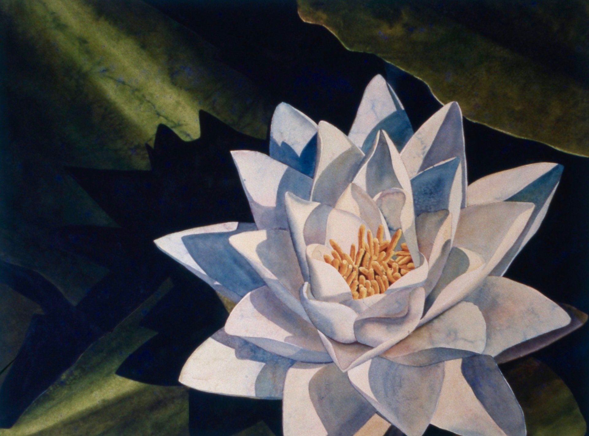A painting of a white flower with a yellow center