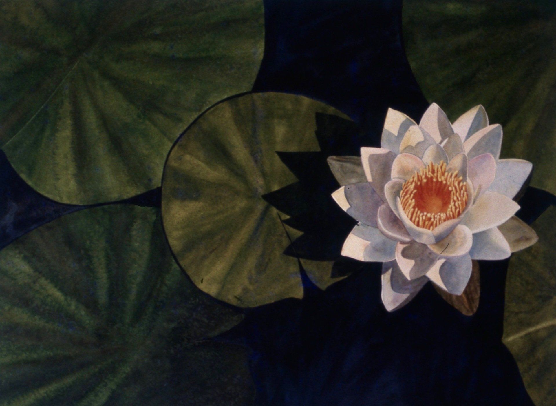 A painting of a white water lily surrounded by green leaves