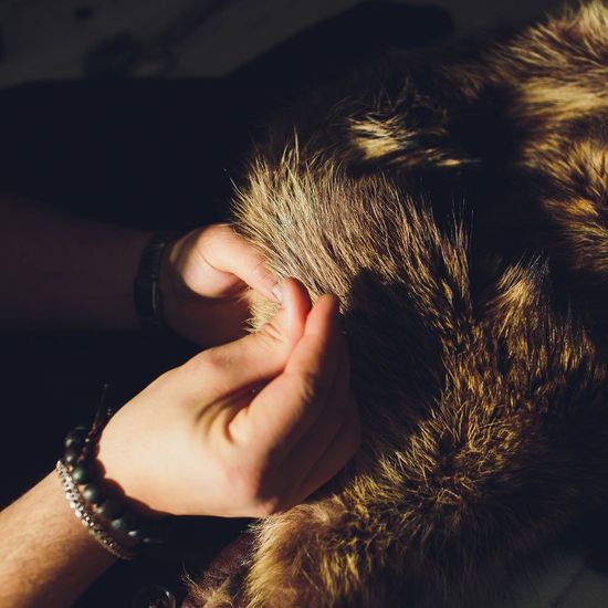 Repairing Fur Coat — Bayonne, NJ — Famous Furs Ltd. Repairing Fur Coat — Bayonne, NJ — Famous Furs Ltd.