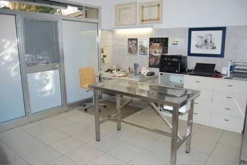Sala per visite veterinarie
