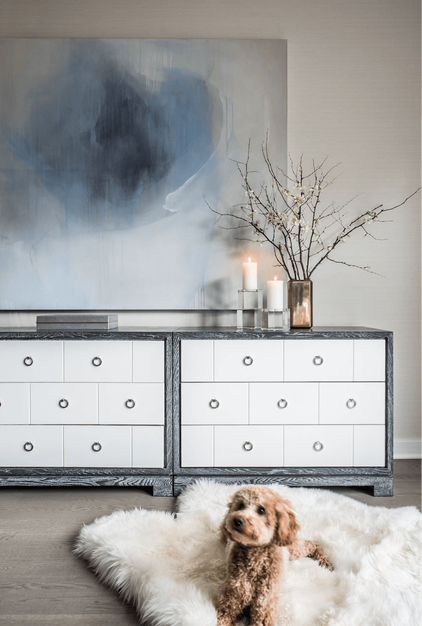 A dog is sitting on a rug in front of a dresser.