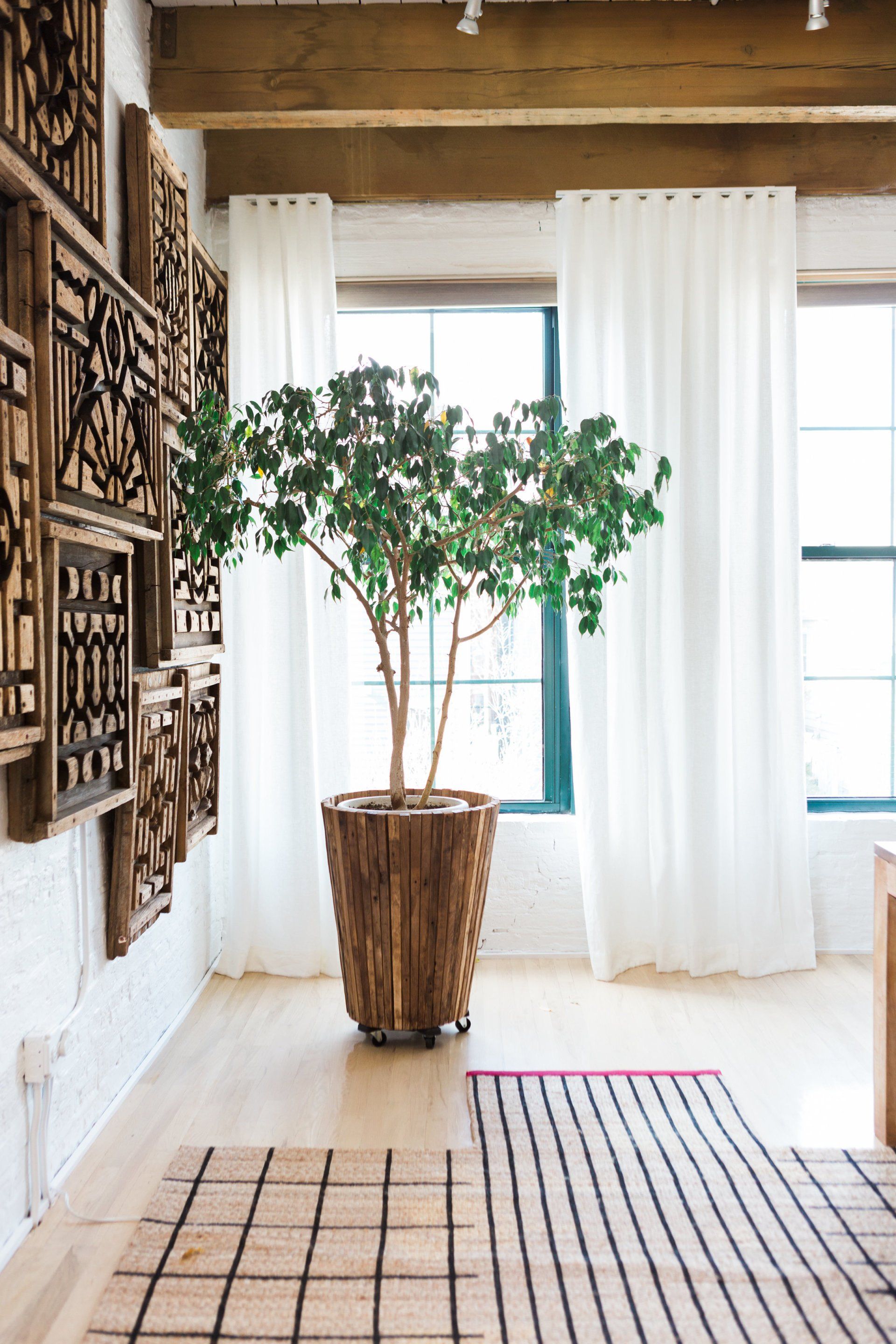A large potted plant is sitting in a living room next to a window.