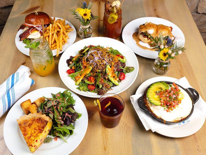 Dinner Plates