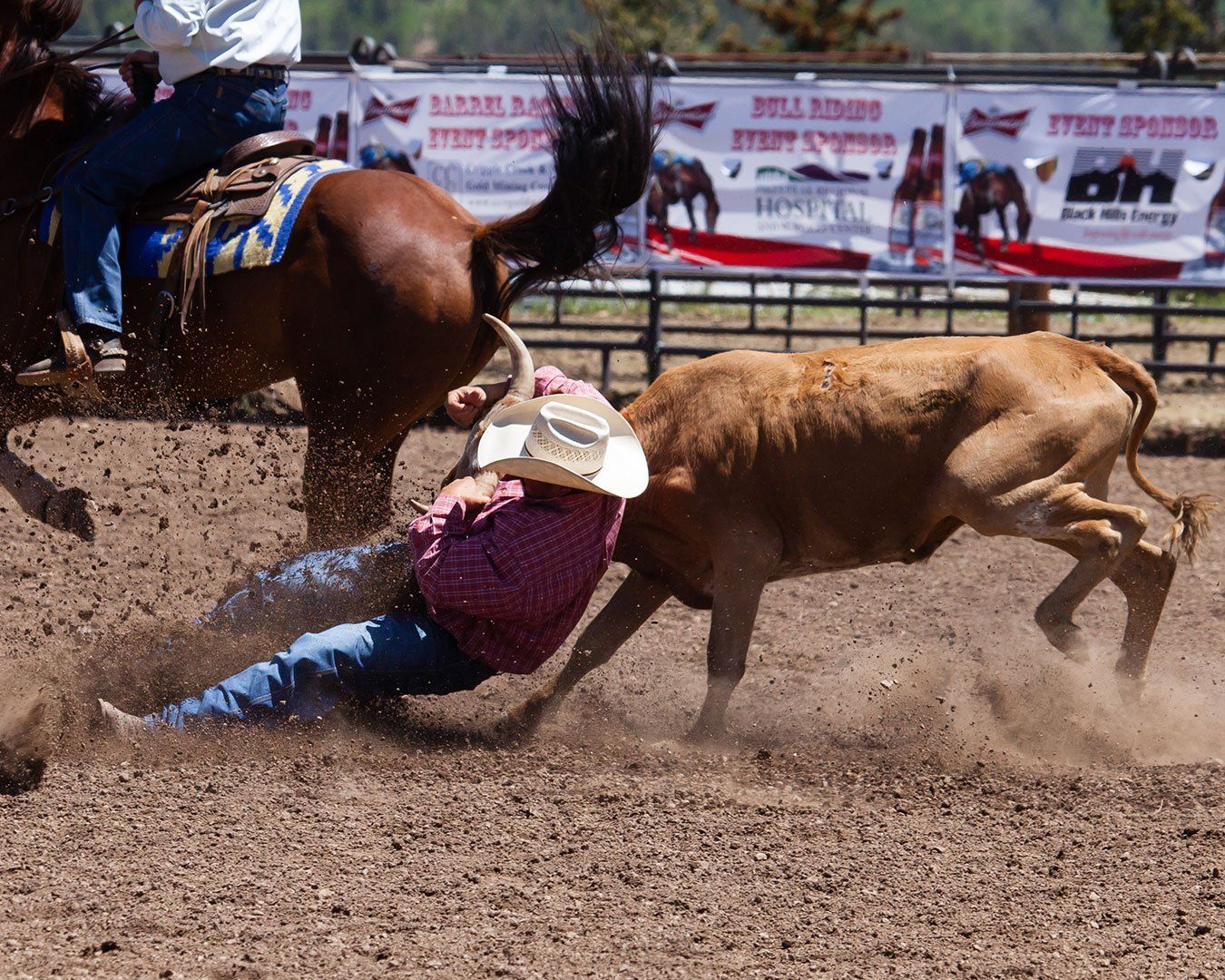 Calf Roping