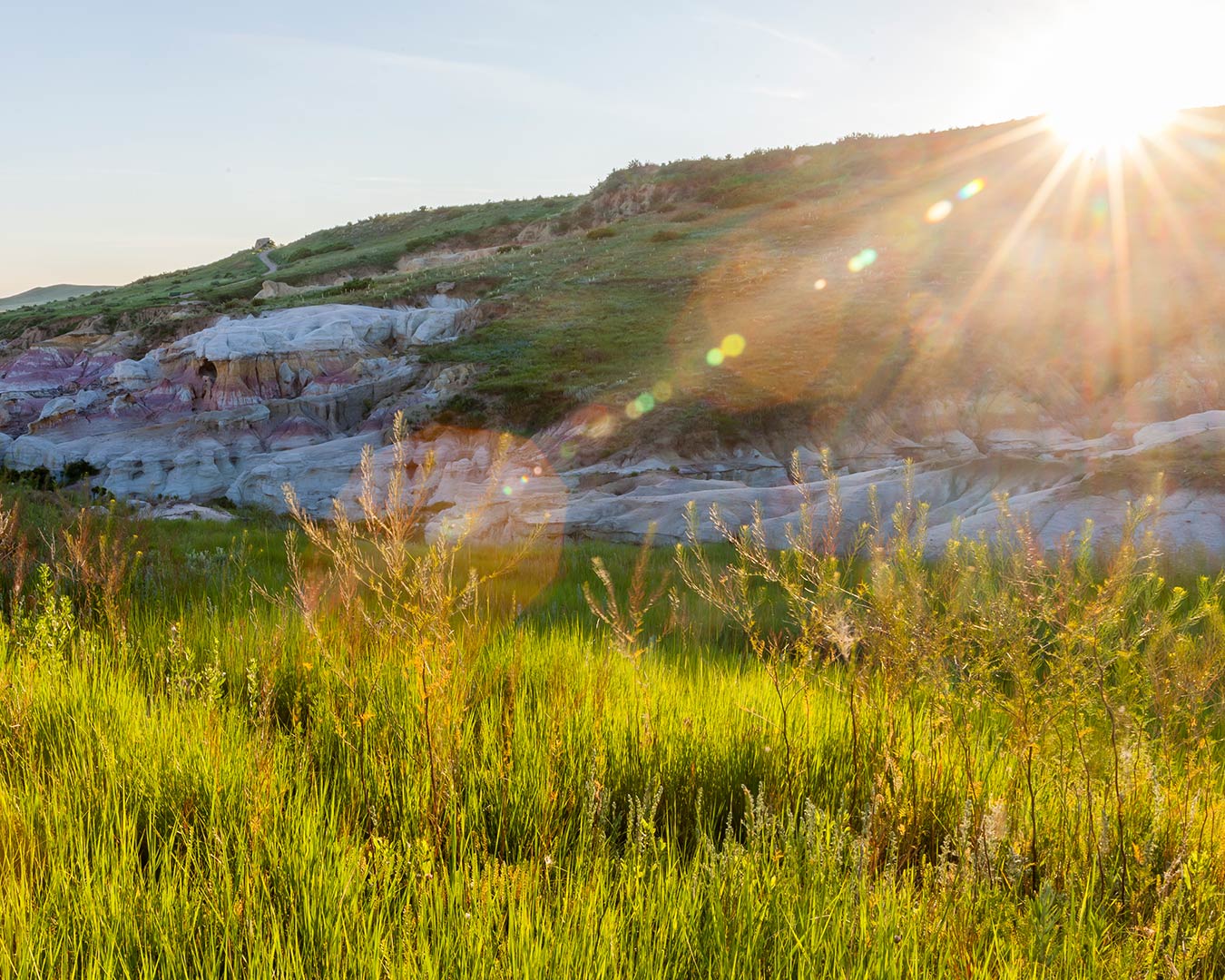 Sunlit hillside with grassy foreground and bright sky.