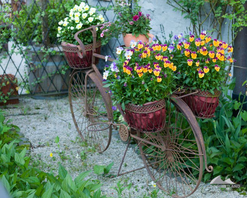 Rusty metal bicycle planter filled with colorful pansies and other flowers in a garden setting.