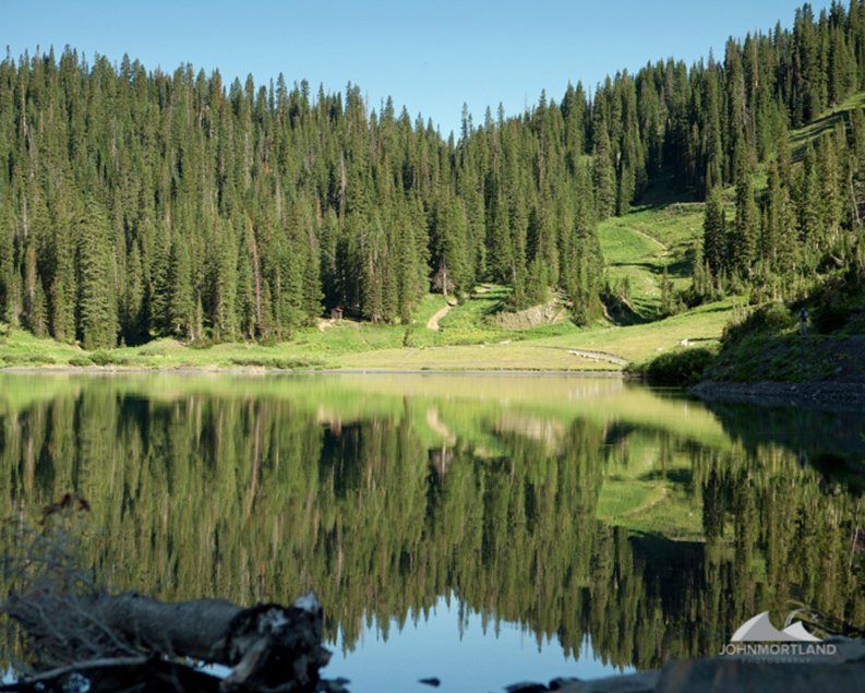 Lake surrounded by green forest, reflecting the trees and sky on the calm water.