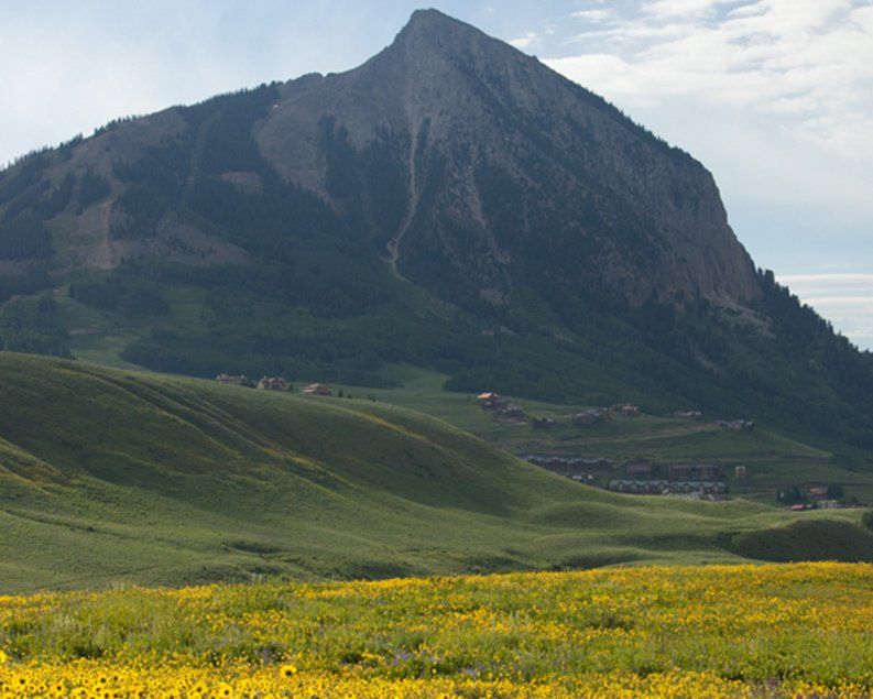 Mountain peak rising above a green field of wildflowers and a distant town.
