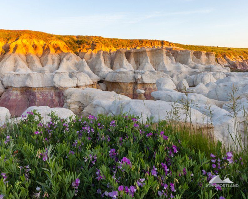 Colorful rock formations under a golden sunset, with purple wildflowers in the foreground.