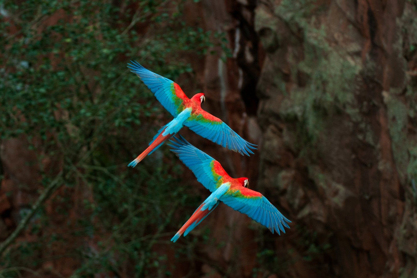 Buraco das Araras Bonito Mato Grosso do Sul
