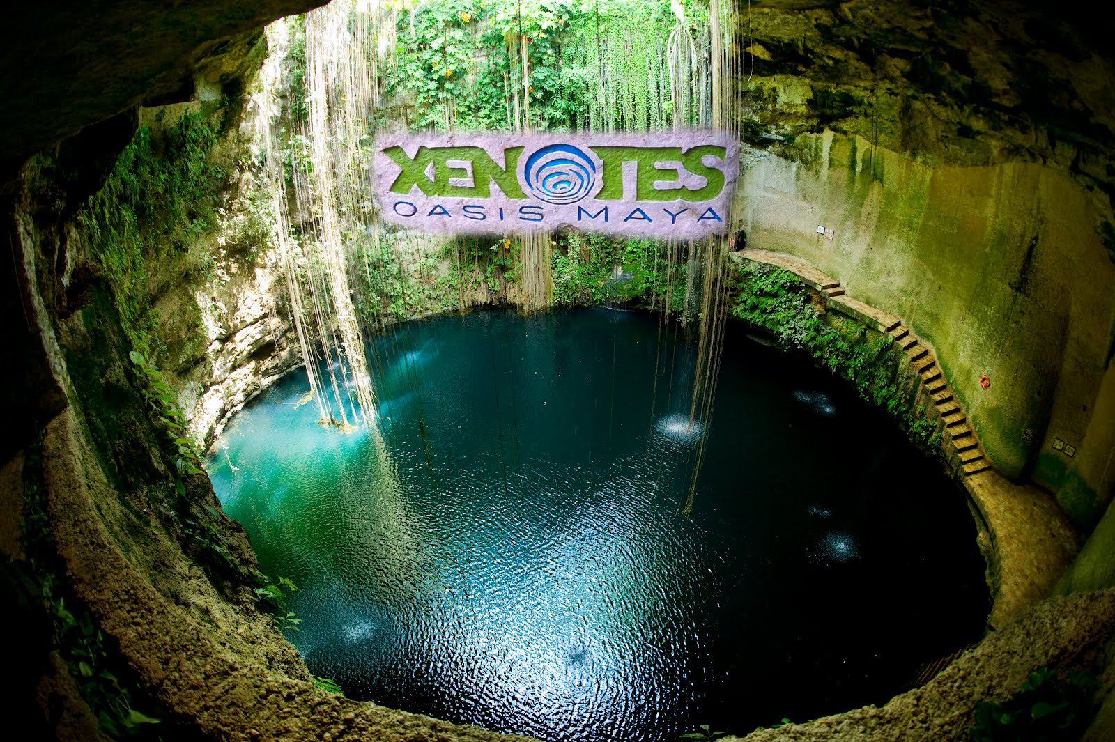 XENOTES