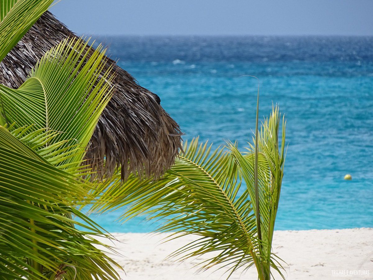 Aruba