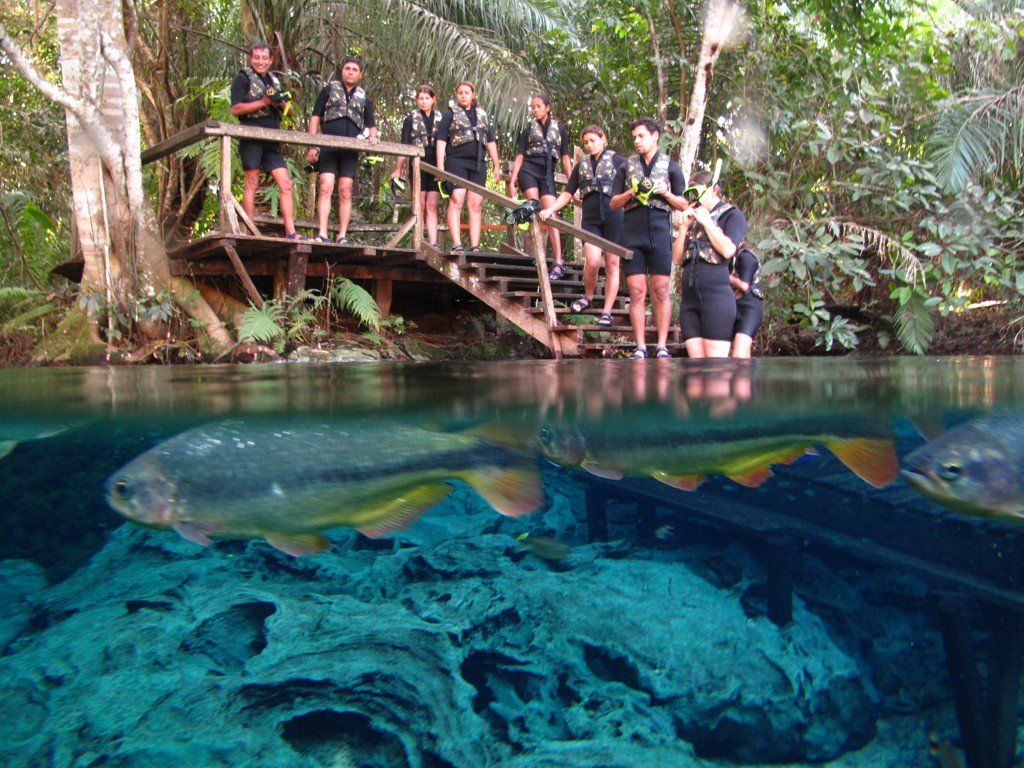 Aquario Natural MS