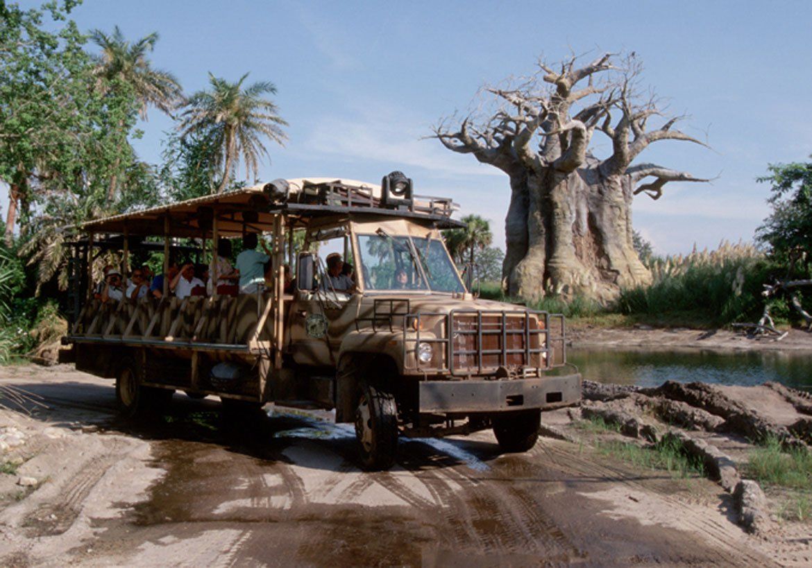 Animal Kingdon Passeios Parques