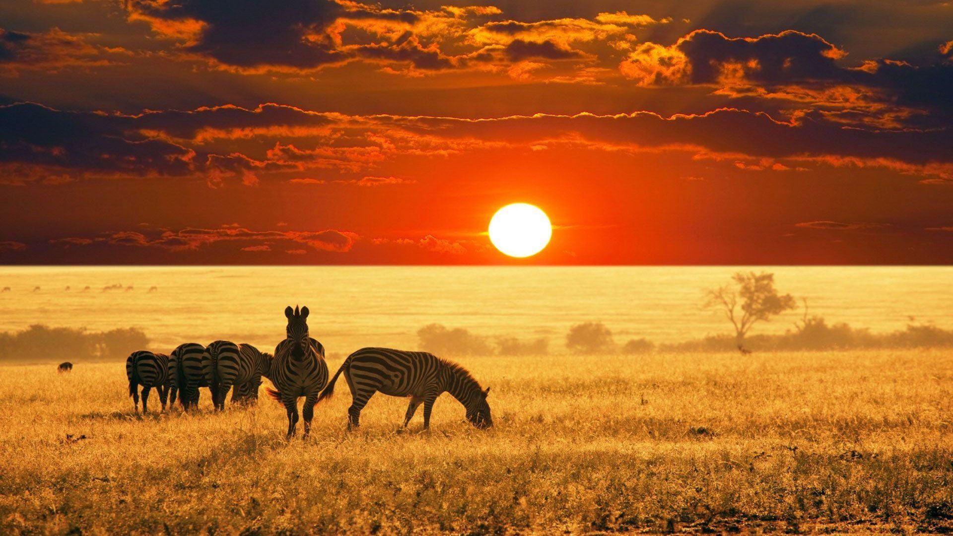 África