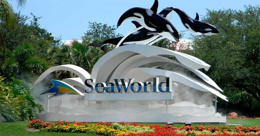 Sea World Orlando