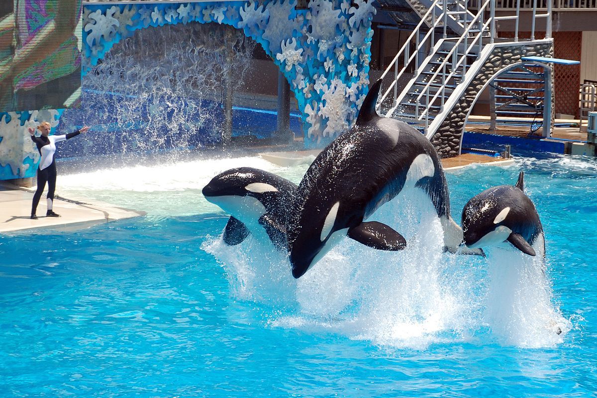 Sea World