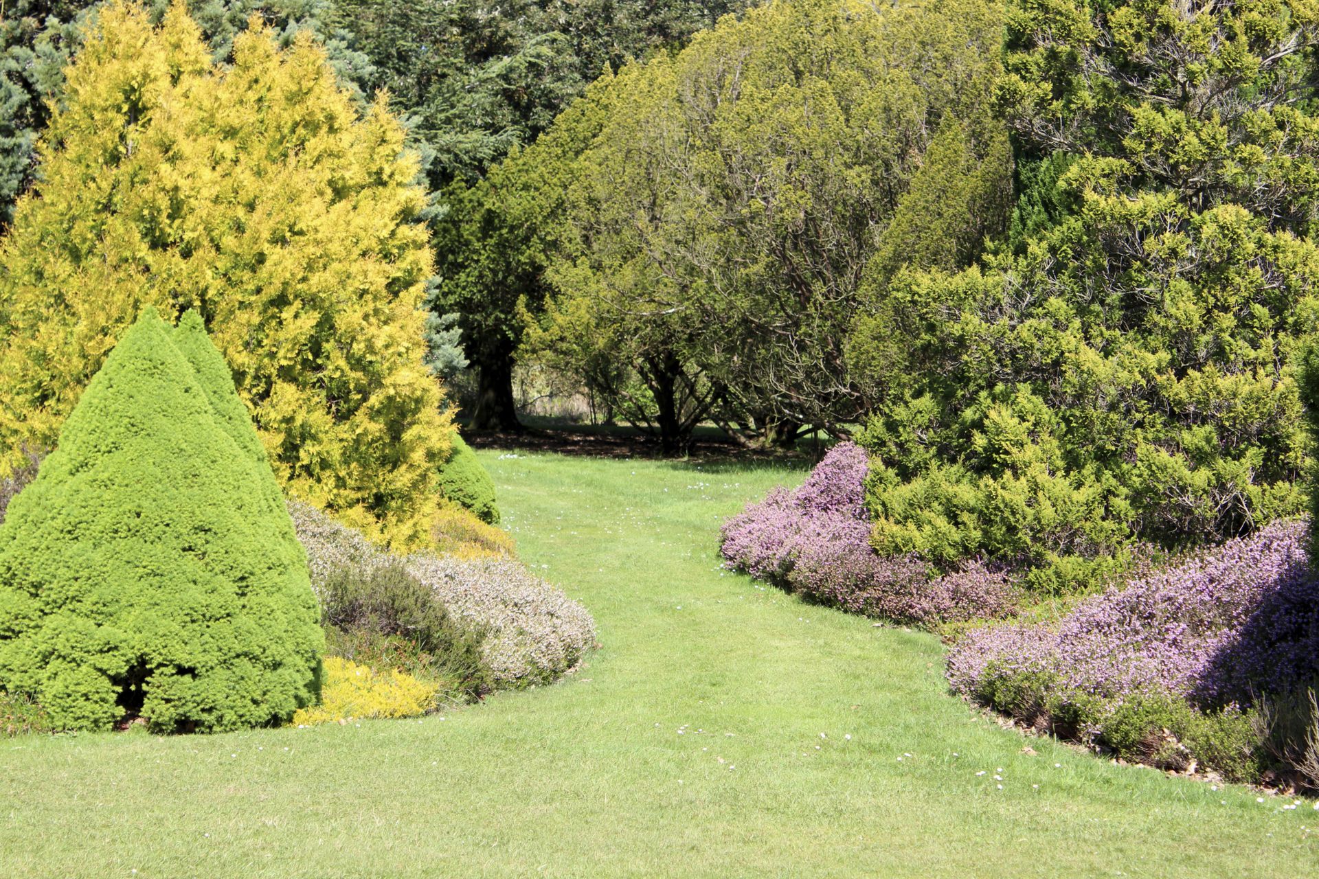 Lawn Maintenance Akron, OH