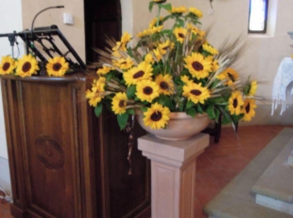 girasoli