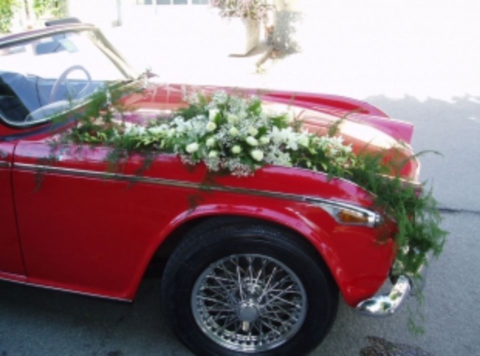 auto decorata