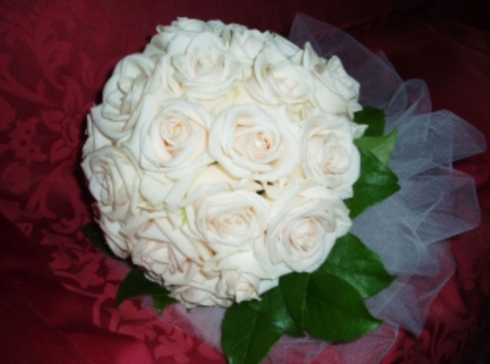 rose bianche